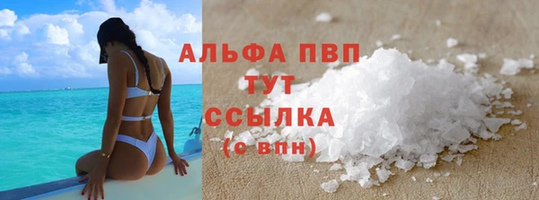 спиды Кущёвская