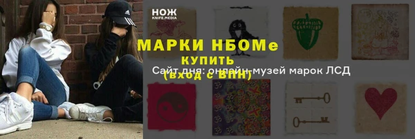 сатива Калининец