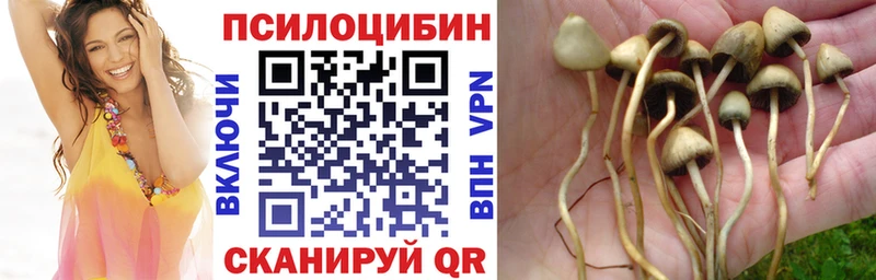 Галлюциногенные грибы GOLDEN TEACHER  Купить  Сковородино 